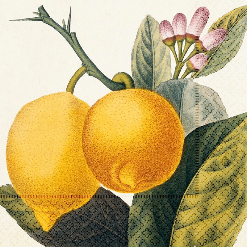 Lunchservietter - 33x33 cm / Citroner - Many Colors
