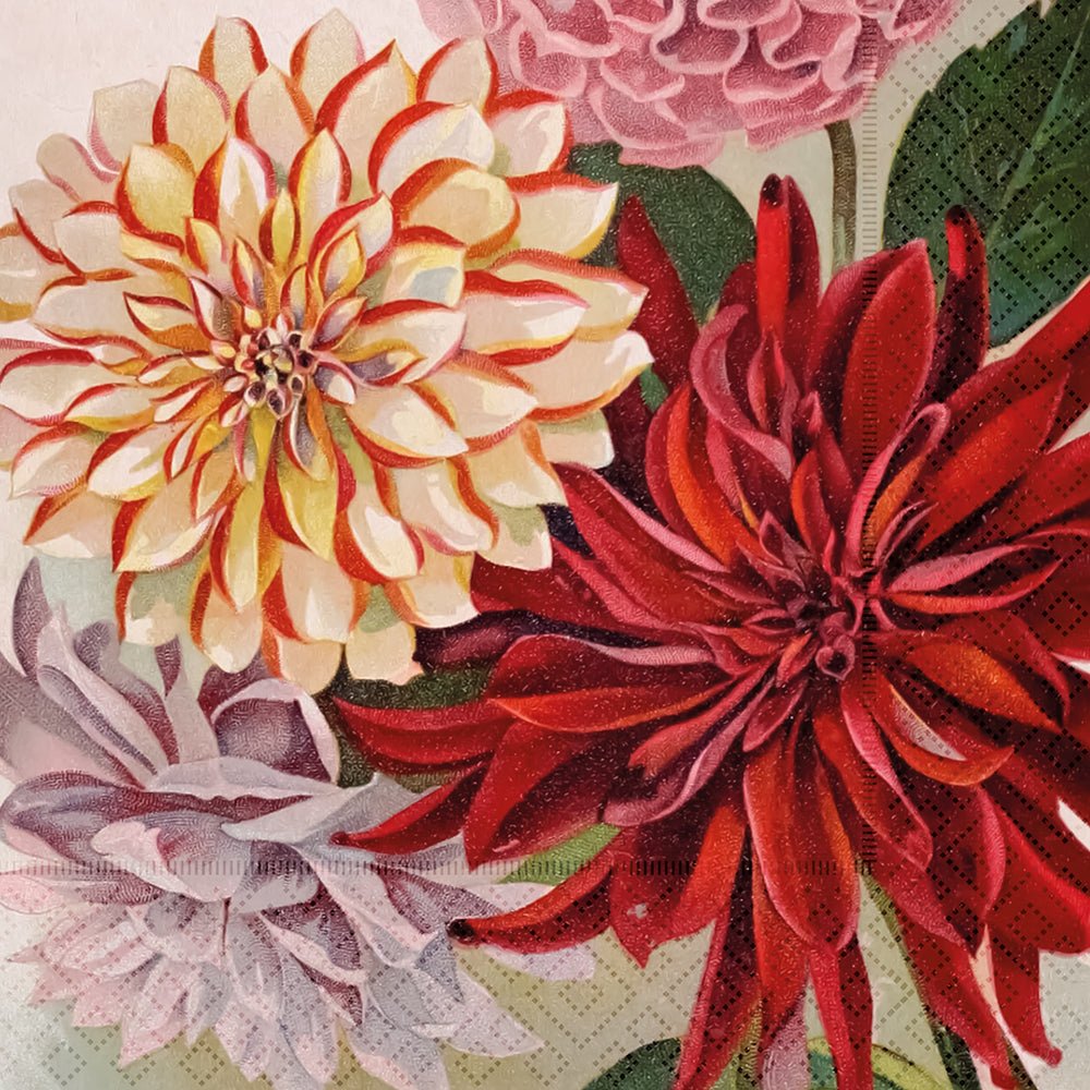 Lunchservietter - 33x33 cm / Dahlia - Many Colors