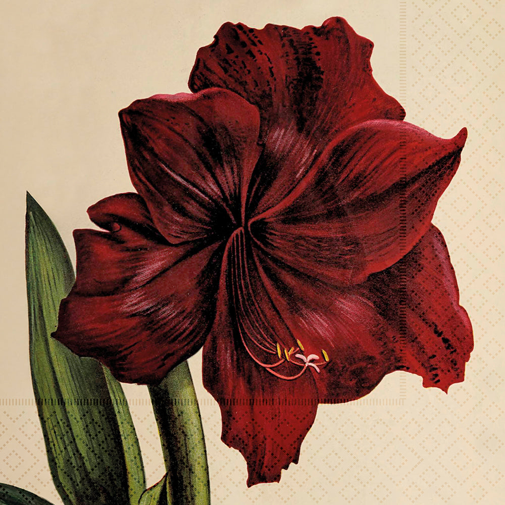 Lunchservetter - 33x33 cm / amaryllis