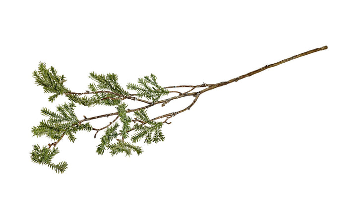 Silkebl. Krypto. L:60 cm Grønn/hvit