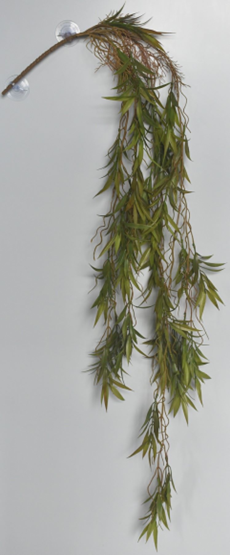 Plante-Hænge Bred Rhipsalis L:128 cm Grønn/Brun