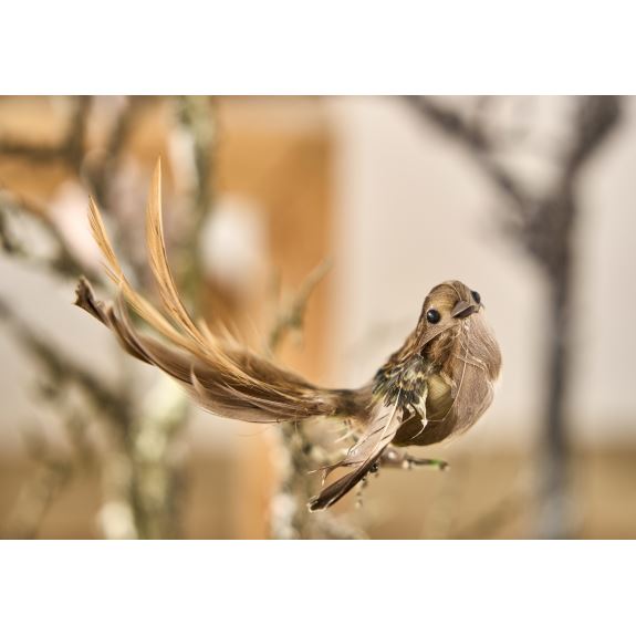 Fugl/clips 13 cm - natur