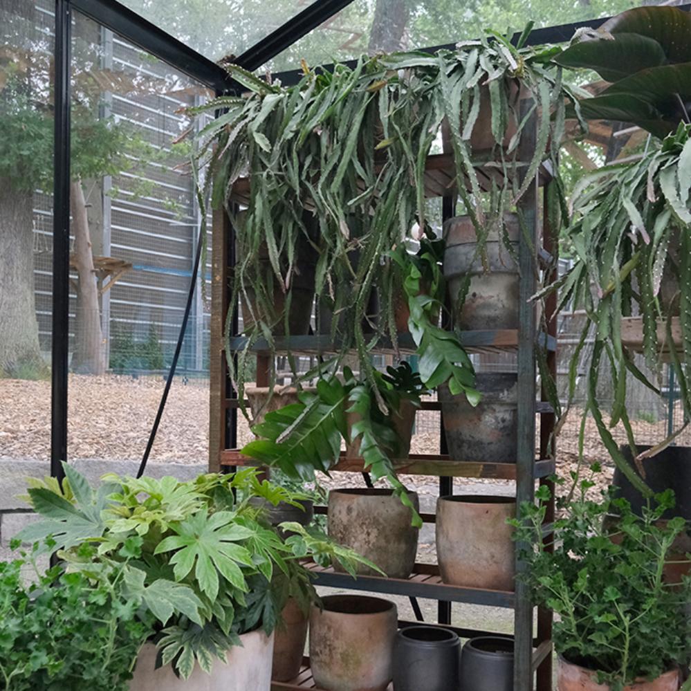 Franklyn reol - 5 hyller - Many Colors