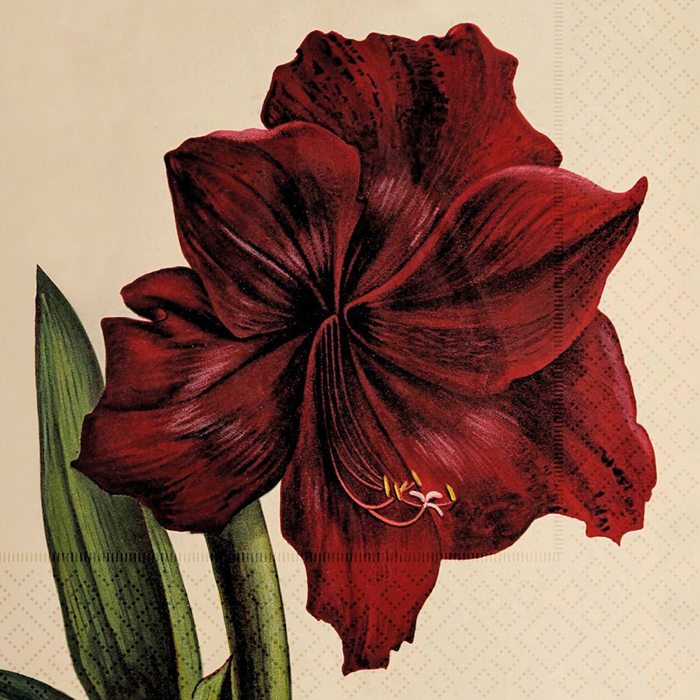 Lunchservetter - 33x33 cm / amaryllis - Many Colors