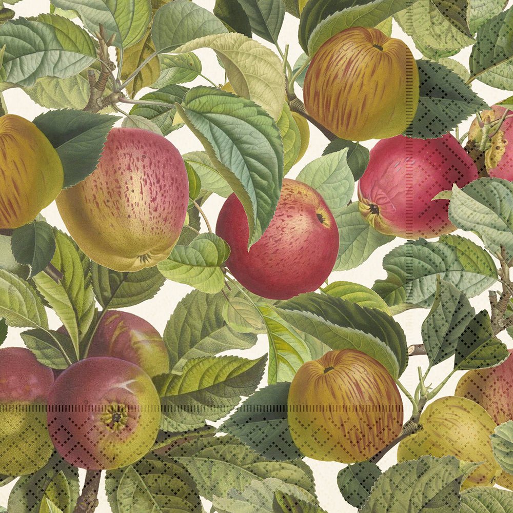 Lunchservietter - 33x33 cm / Äpplen - Many Colors