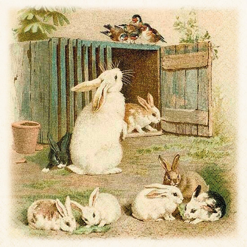 Lunchservietter - 33x33 cm / kaniner - Many Colors