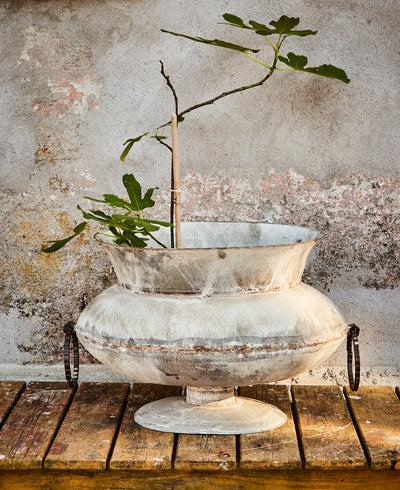 FENIX Planter sett i grått